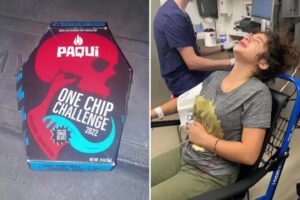 One Chip Challenge