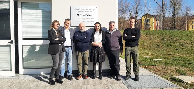 Nella fotografia, il team di «Meat from wood», da sinistra: Chiara Damiani, Loredano Pollegioni, Marco Vanoni, Elena Rosini, Luca Brambilla e Alex Pessina